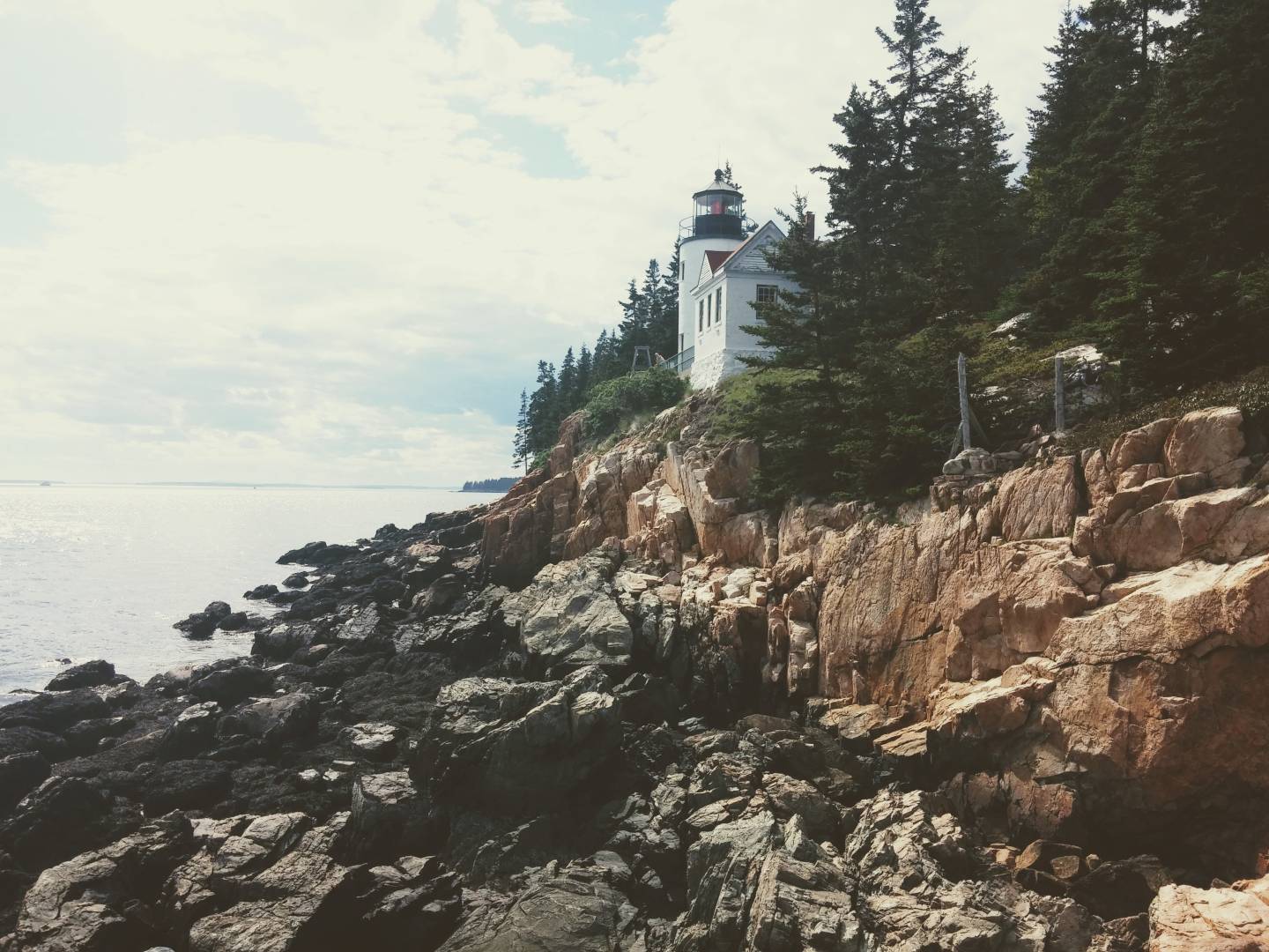 photo-1482981175807-c82a77ba7e01.jpg (2.39 MB)